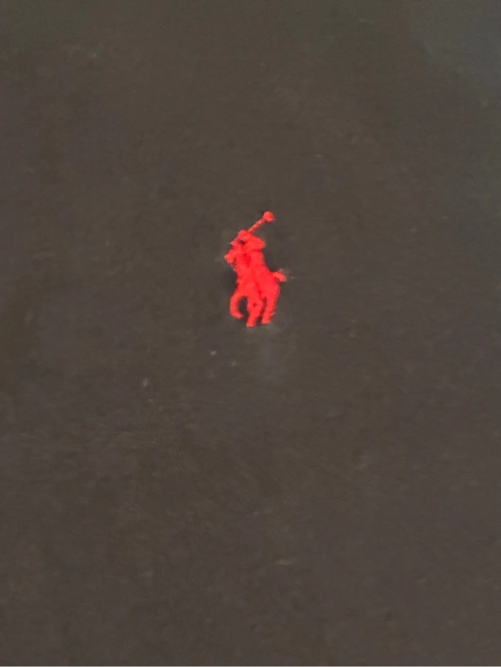 Polo by Ralph Lauren Black Polo with Red Pony Embroidery